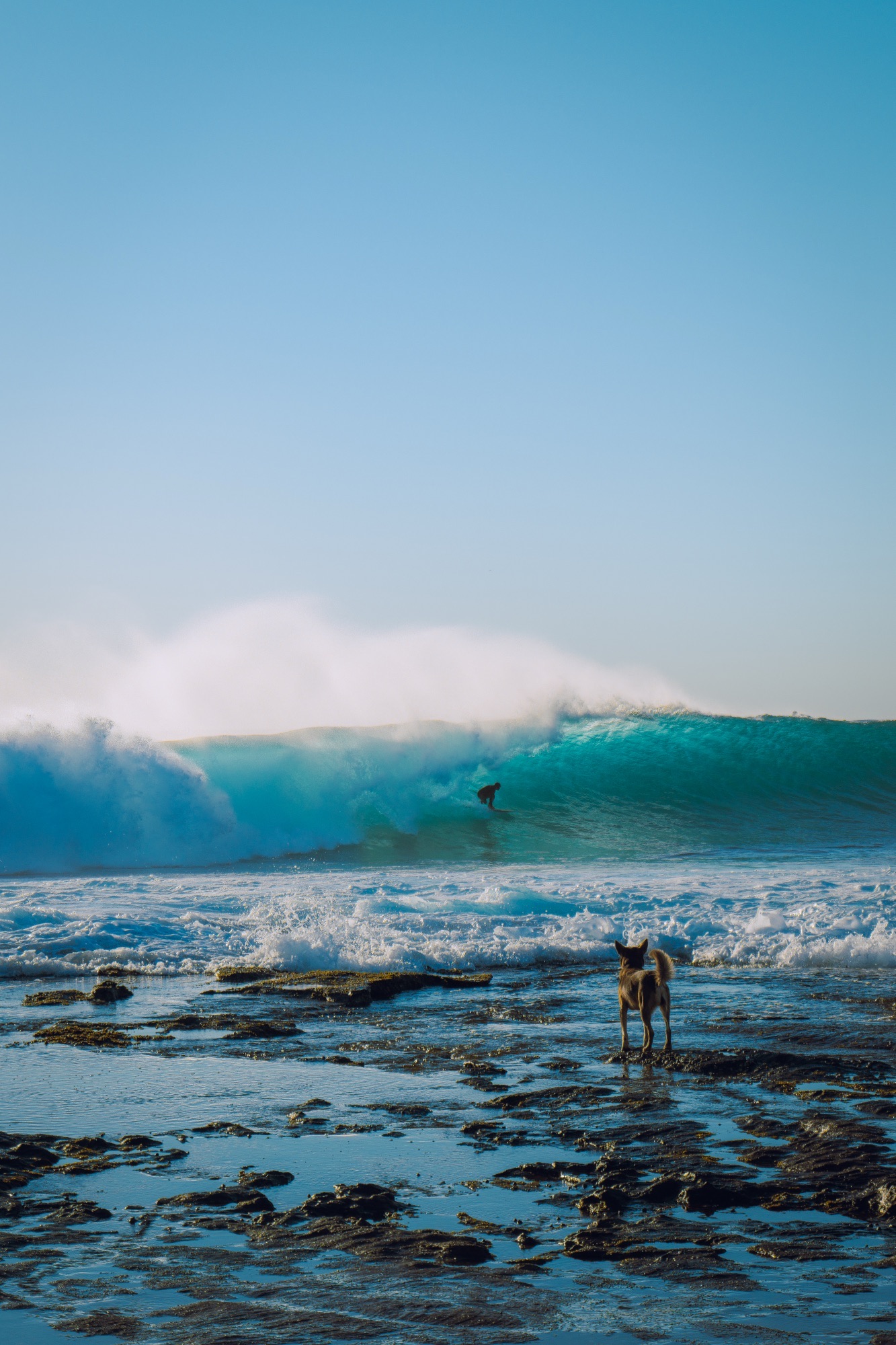Kalabarri Surf